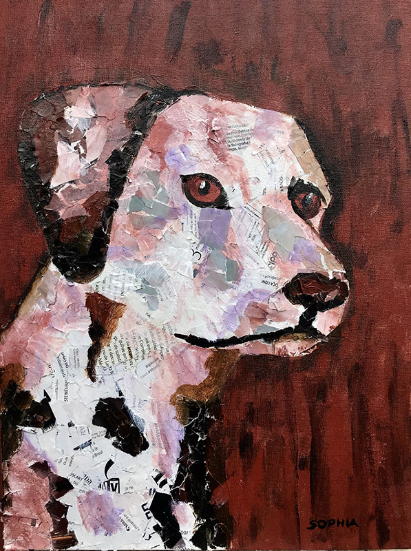 Amigo - 30 x 40 - Mista colagem - 2018